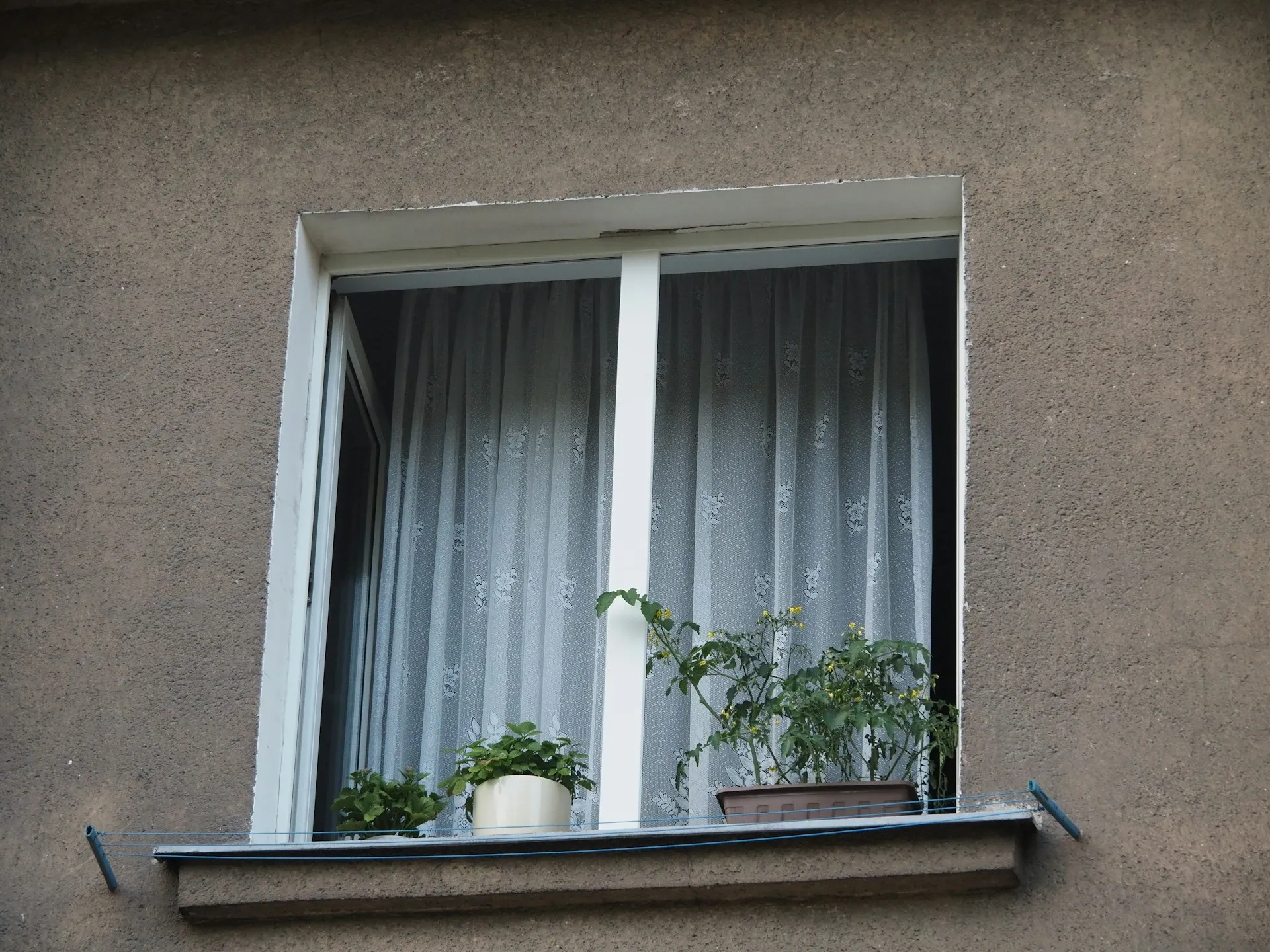 Troubleshooting Leaking Windows in Custom Estate Homes