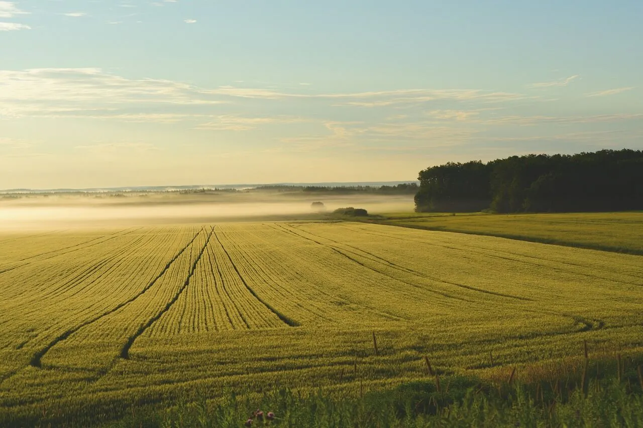 Key Things to Know About Government Land Usage Entitlements